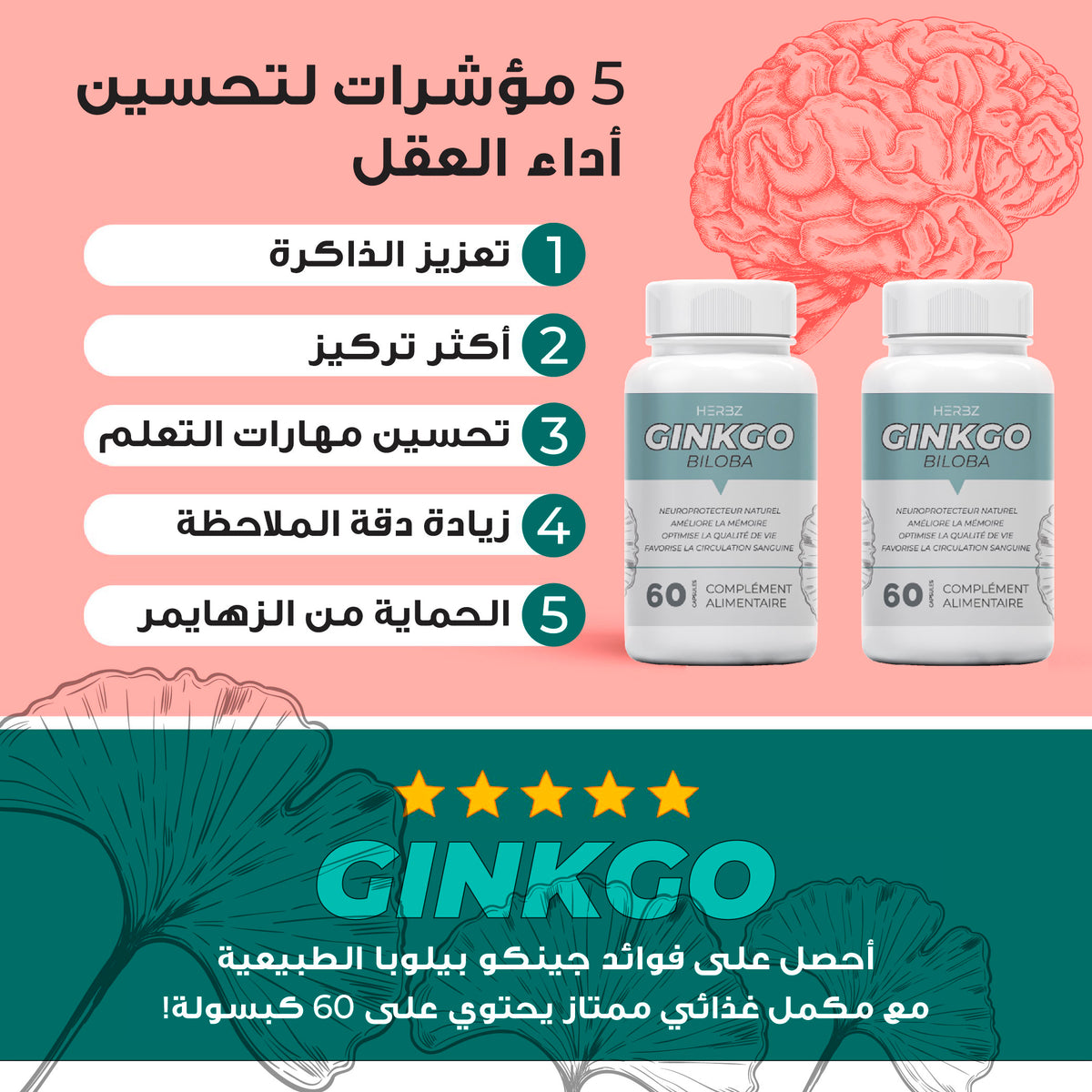GINKGO BILOBA تحسين وظائف الدماغ وتعزيز الذاكرة