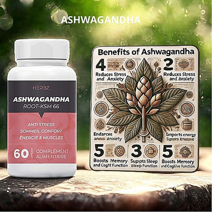 كبسولات اشواغاندا (60 كبسولة) ASHWAGANDHA